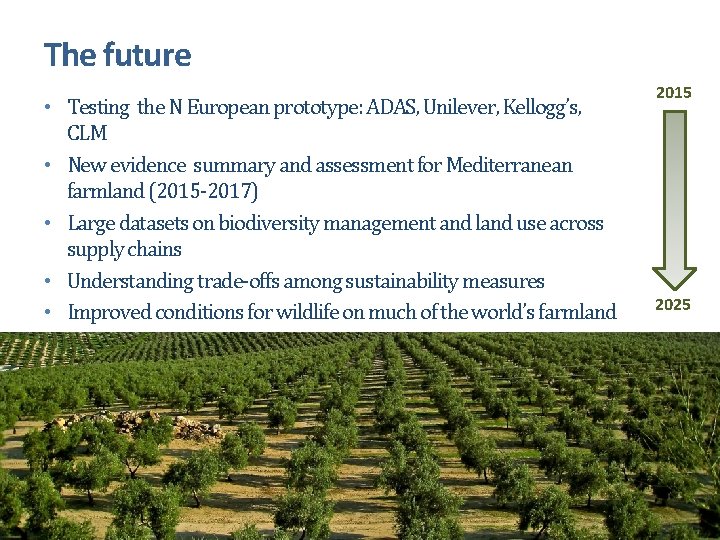 The future • Testing the N European prototype: ADAS, Unilever, Kellogg’s, CLM • New