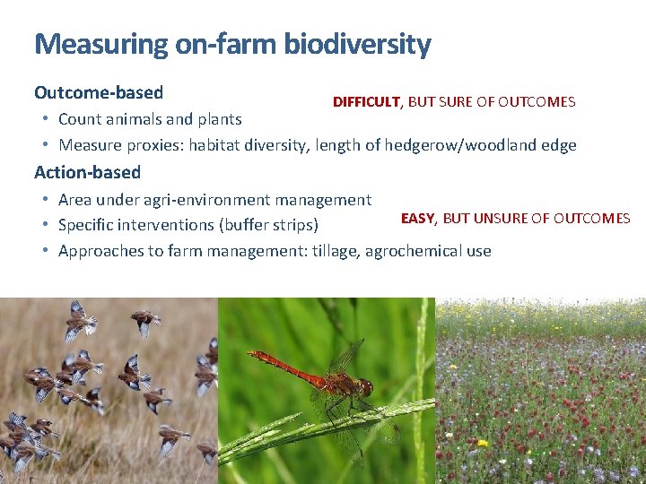 Measuring on-farm biodiversity Outcome-based DIFFICULT, BUT SURE OF OUTCOMES • Count animals and plants