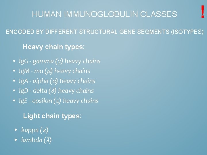 HUMAN IMMUNOGLOBULIN CLASSES ! ENCODED BY DIFFERENT STRUCTURAL GENE SEGMENTS (ISOTYPES) Heavy chain types: