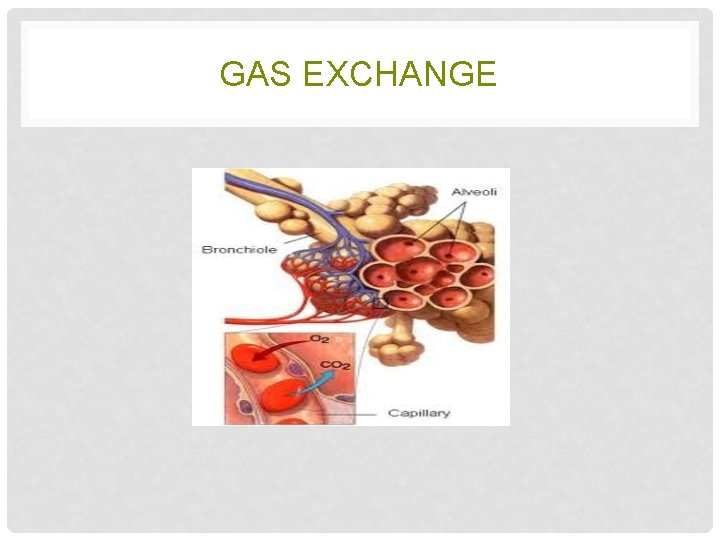 GAS EXCHANGE 