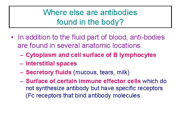 Where else are antibodies found in the body? • In addition to the fluid