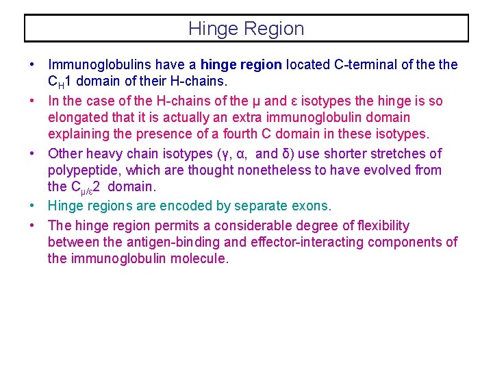 Hinge Region • Immunoglobulins have a hinge region located C-terminal of the CH 1