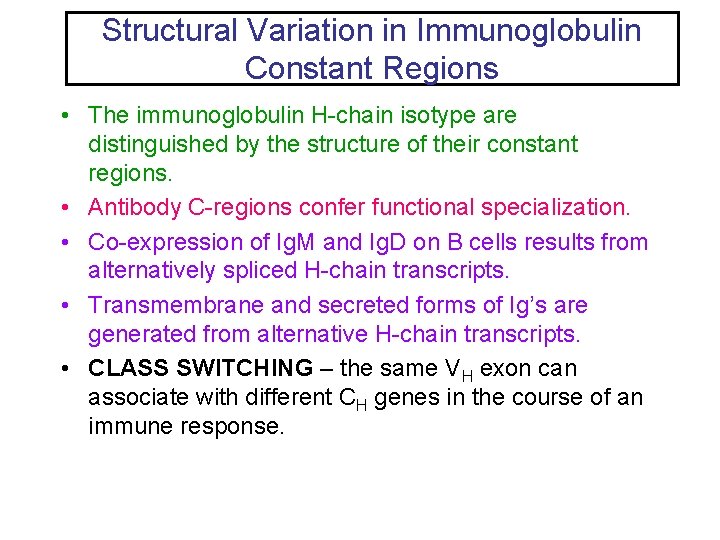 Structural Variation in Immunoglobulin Constant Regions • The immunoglobulin H-chain isotype are distinguished by