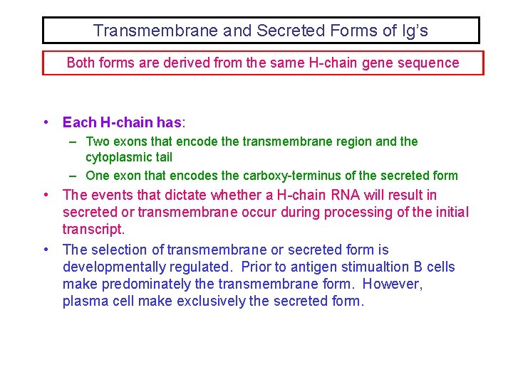 Transmembrane and Secreted Forms of Ig’s Both forms are derived from the same H-chain