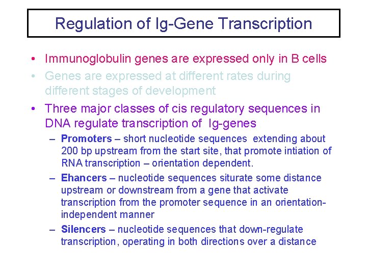 Regulation of Ig-Gene Transcription • Immunoglobulin genes are expressed only in B cells •