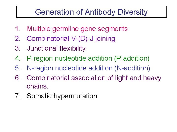 Generation of Antibody Diversity 1. 2. 3. 4. 5. 6. Multiple germline gene segments