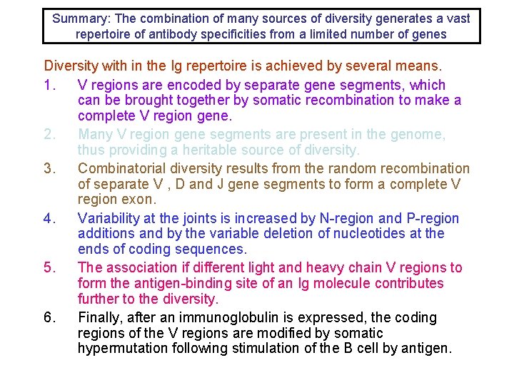 Summary: The combination of many sources of diversity generates a vast repertoire of antibody