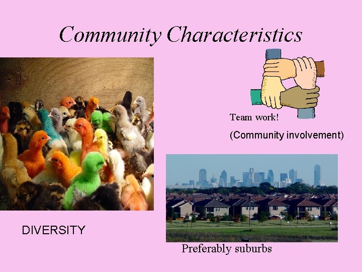 Community Characteristics Team work! (Community involvement) DIVERSITY Preferably suburbs 