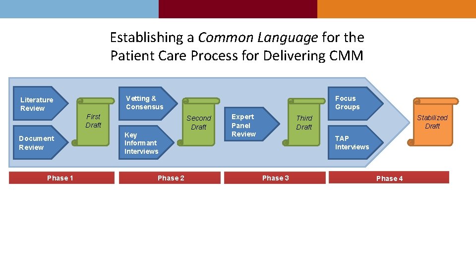 Establishing a Common Language for the Patient Care Process for Delivering CMM Vetting &