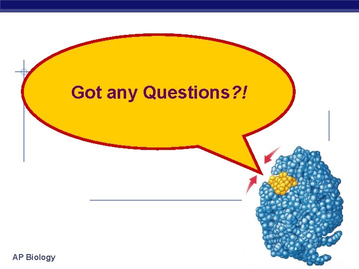 Got any Questions? ! AP Biology 2007 -2008 