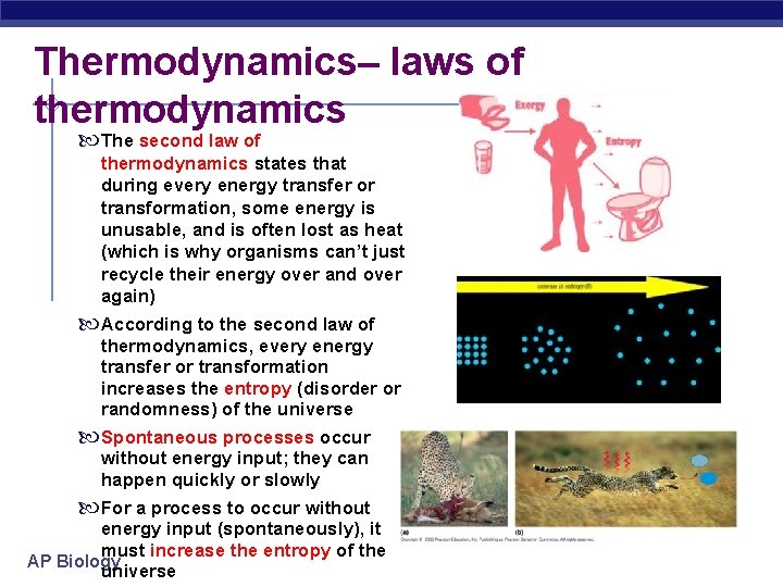 Thermodynamics– laws of thermodynamics The second law of thermodynamics states that during every energy
