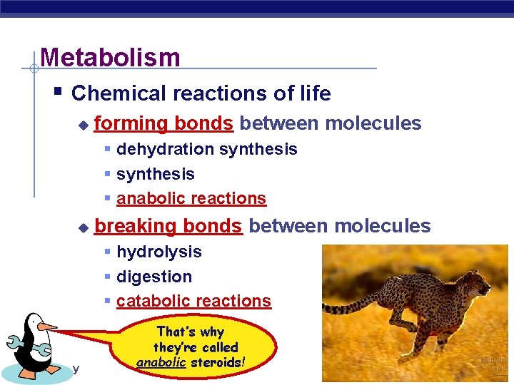 Metabolism § Chemical reactions of life u forming bonds between molecules § dehydration synthesis