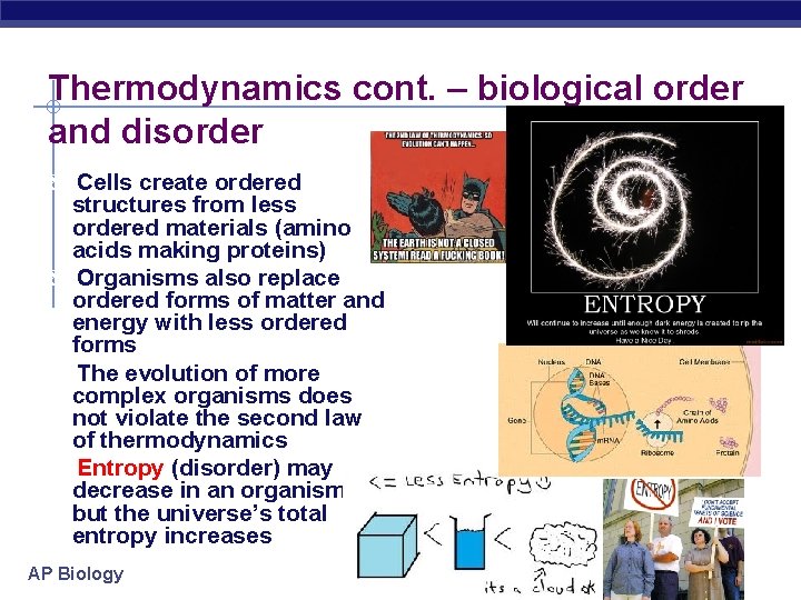 Thermodynamics cont. – biological order and disorder Cells create ordered structures from less ordered