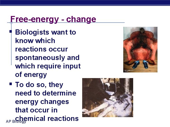 Free-energy - change § Biologists want to know which reactions occur spontaneously and which