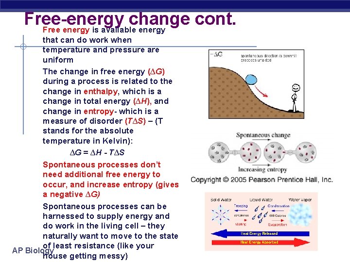 Free-energy change cont. Free energy is available energy that can do work when temperature