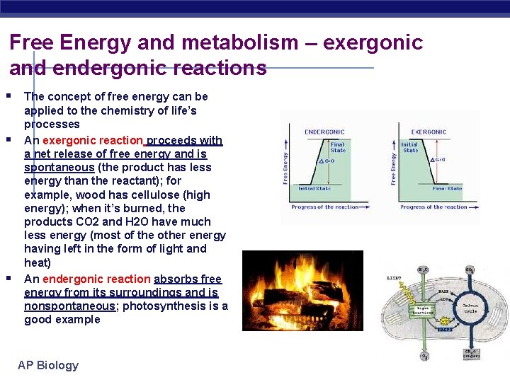 Free Energy and metabolism – exergonic and endergonic reactions § The concept of free