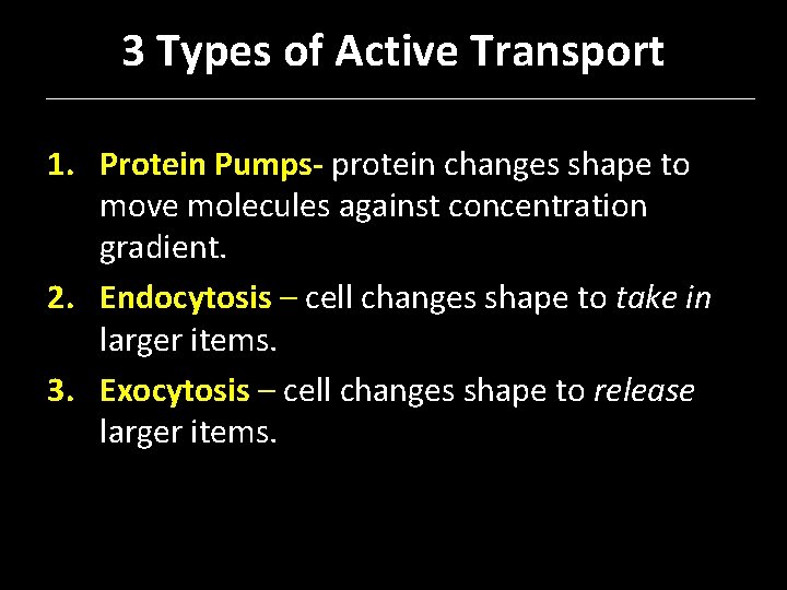 3 Types of Active Transport 1. Protein Pumps- protein changes shape to move molecules