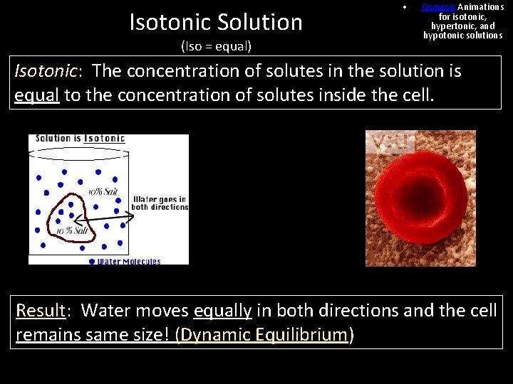 Isotonic Solution (Iso = equal) • Osmosis Animations for isotonic, hypertonic, and hypotonic solutions