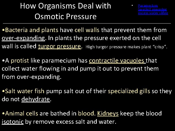 How Organisms Deal with Osmotic Pressure • Paramecium (protist) removing excess water video •