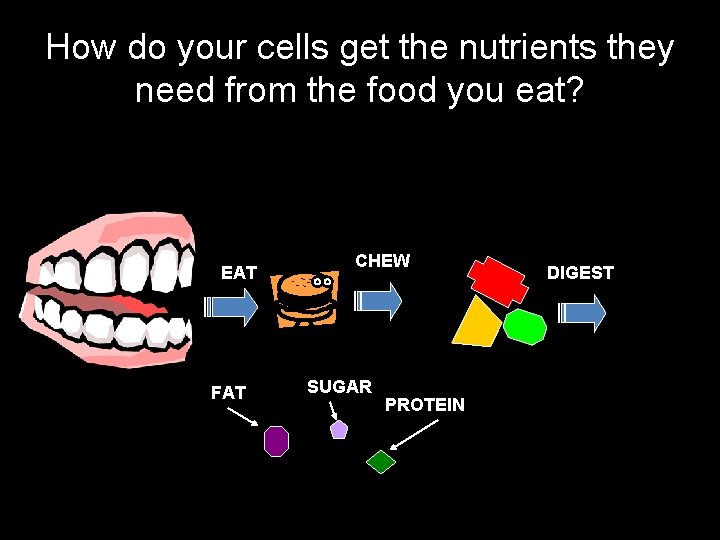 How do your cells get the nutrients they need from the food you eat?