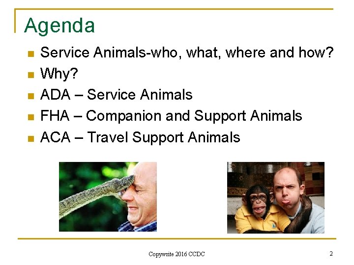 Agenda n n n Service Animals-who, what, where and how? Why? ADA – Service