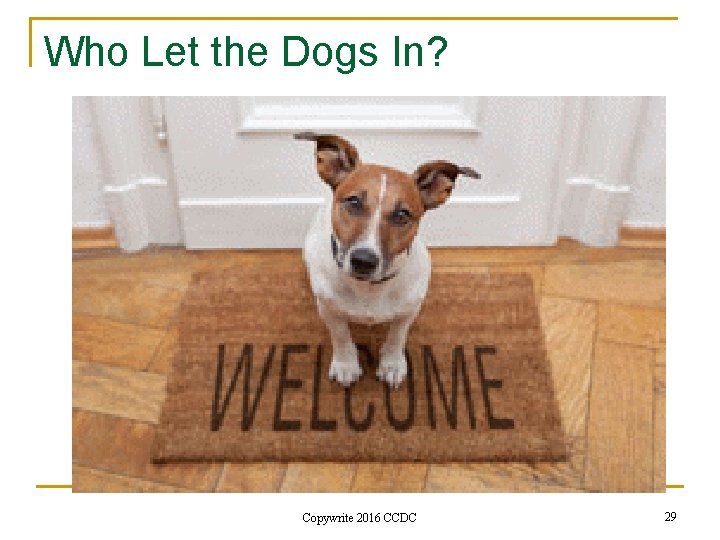 Who Let the Dogs In? Copywrite 2016 CCDC 29 