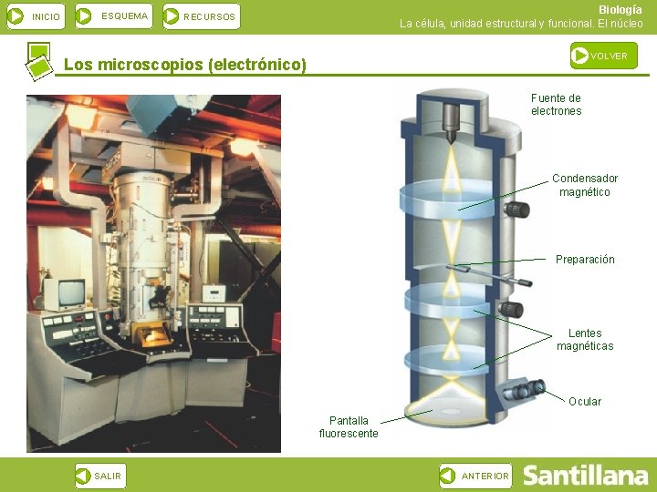 INICIO ESQUEMA Biología La célula, unidad estructural y funcional. El núcleo RECURSOS VOLVER Los