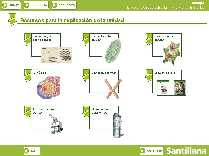 INICIO ESQUEMA Biología La célula, unidad estructural y funcional. El núcleo RECURSOS Recursos para