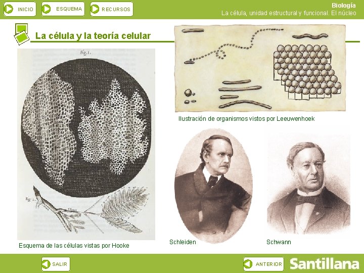 INICIO ESQUEMA Biología La célula, unidad estructural y funcional. El núcleo RECURSOS La célula