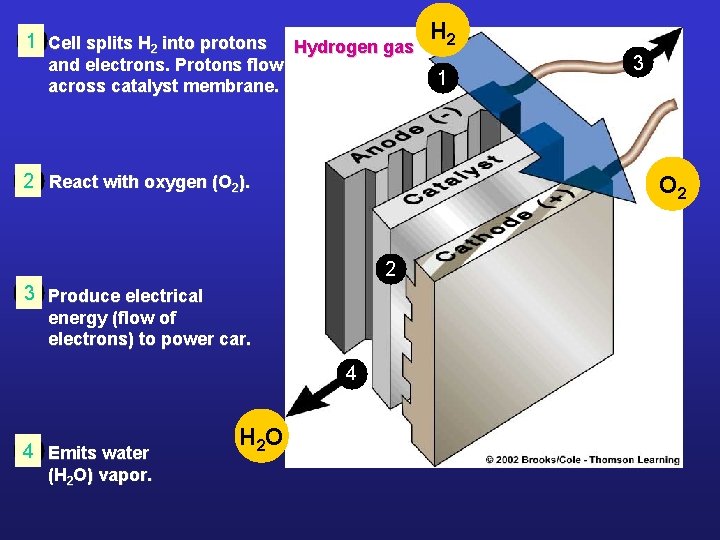 1 Cell splits H 2 into protons and electrons. Protons flow across catalyst membrane.