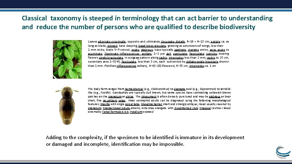 Classical taxonomy is steeped in terminology that can act barrier to understanding and reduce