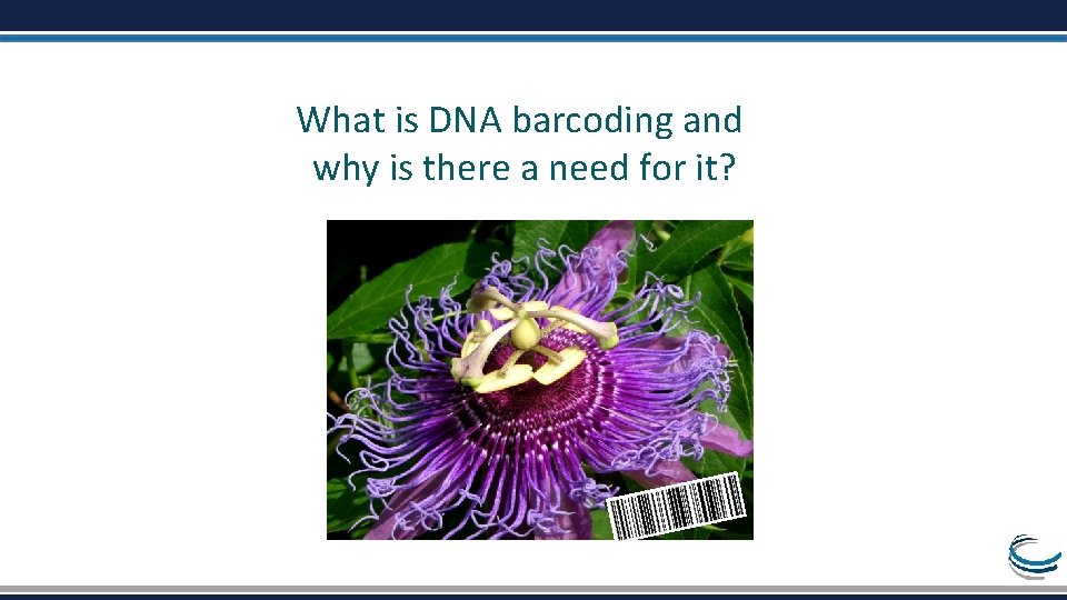 What is DNA barcoding and why is there a need for it? 
