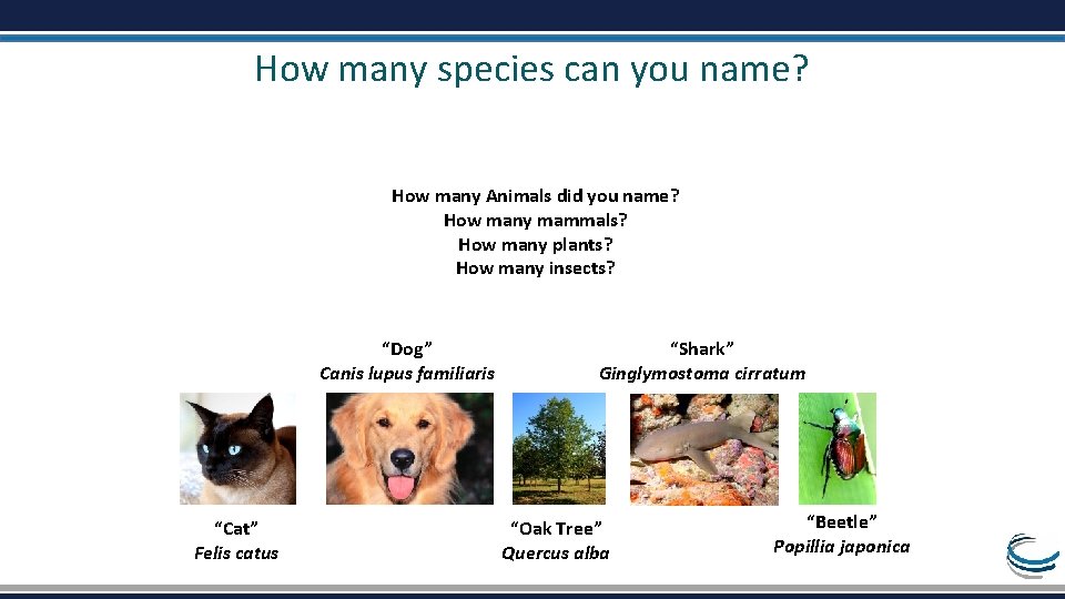 How many species can you name? How many Animals did you name? How many