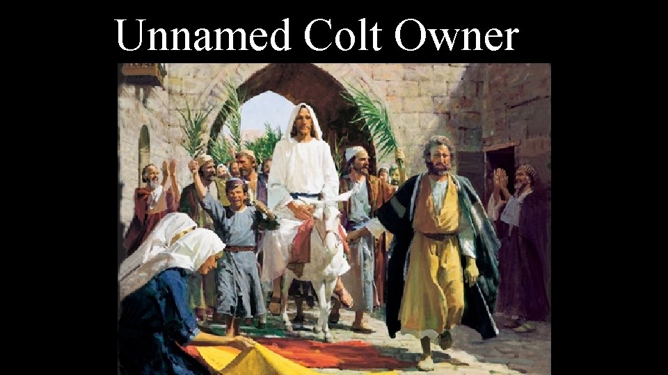 Unnamed Colt Owner 