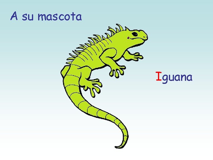 A su mascota Iguana 