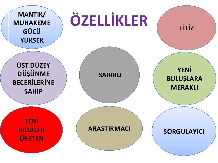 MANTIK/ MUHAKEME GÜCÜ YÜKSEK ÖZELLİKLER TİTİZ ÜST DÜZEY DÜŞÜNME BECERİLERİNE SAHİP SABIRLI YENİ BULUŞLARA