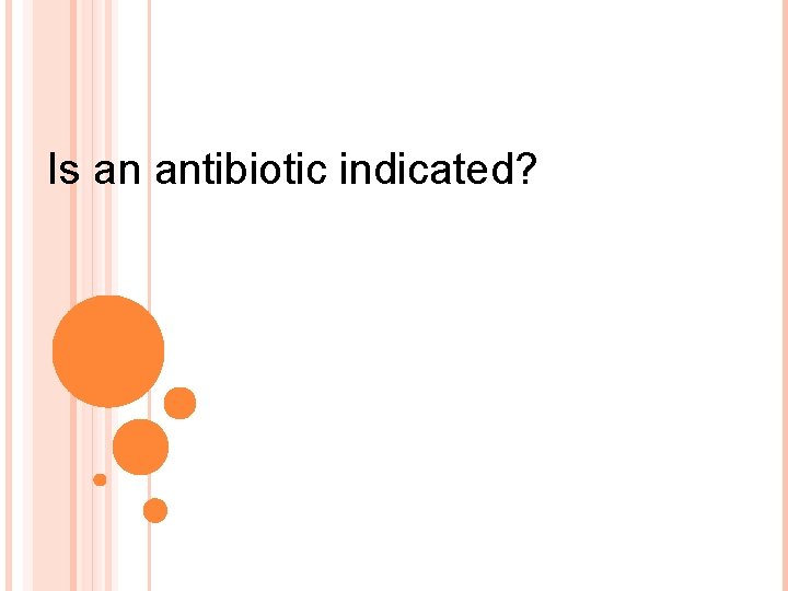 Is an antibiotic indicated? 