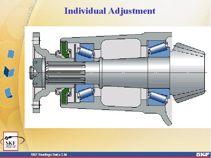 Individual Adjustment Individual Adjustment
