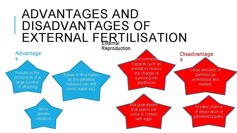 ADVANTAGES AND DISADVANTAGES OF EXTERNAL FERTILISATION External Reproduction Advantage s Results in the production ADVANTAGES AND DISADVANTAGES OF EXTERNAL FERTILISATION External Reproduction Advantage s Results in the production