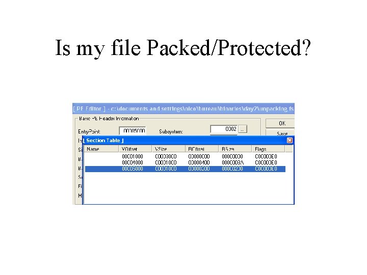 Is my file Packed/Protected? 