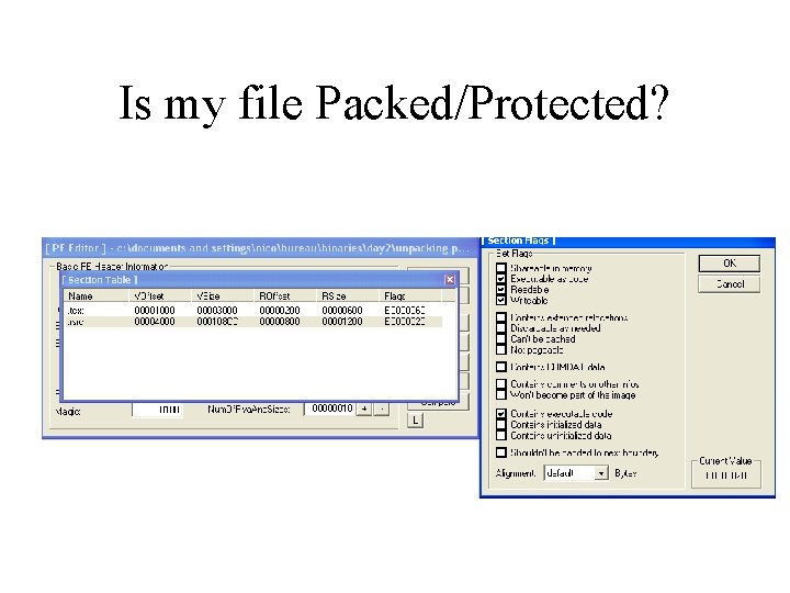 Is my file Packed/Protected? 