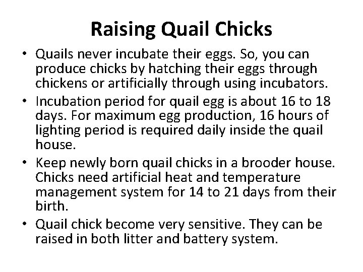 Raising Quail Chicks • Quails never incubate their eggs. So, you can produce chicks