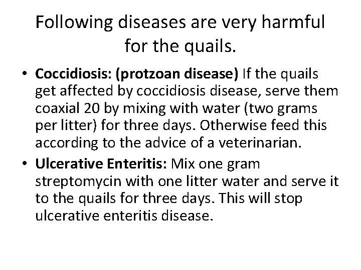 Following diseases are very harmful for the quails. • Coccidiosis: (protzoan disease) If the