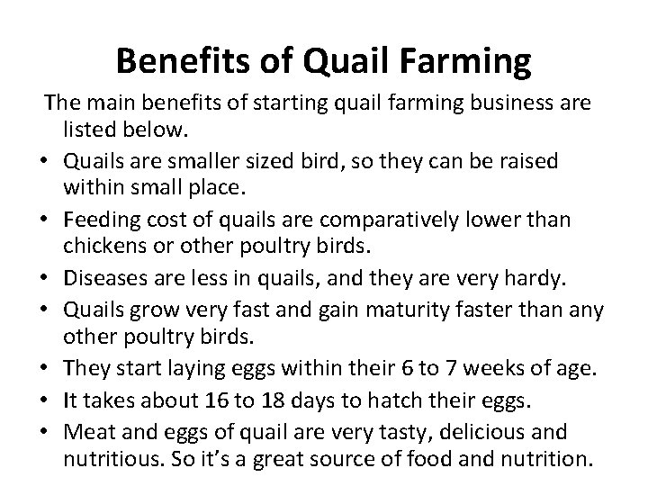 Benefits of Quail Farming The main benefits of starting quail farming business are listed