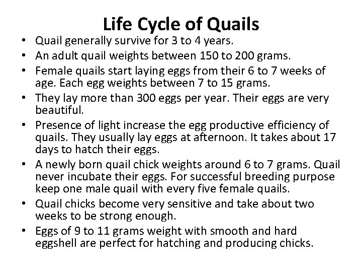 Life Cycle of Quails • Quail generally survive for 3 to 4 years. •