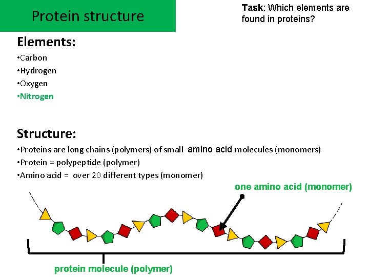 Protein structure Task: Which elements are found in proteins? Elements: • Carbon • Hydrogen