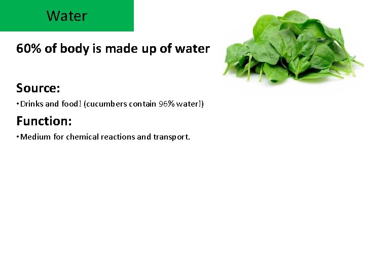 Water 60% of body is made up of water Source: • Drinks and food!