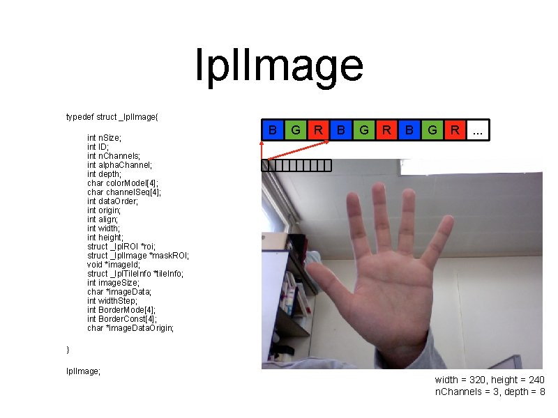 Ipl. Image typedef struct _Ipl. Image{ int n. Size; int ID; int n. Channels;