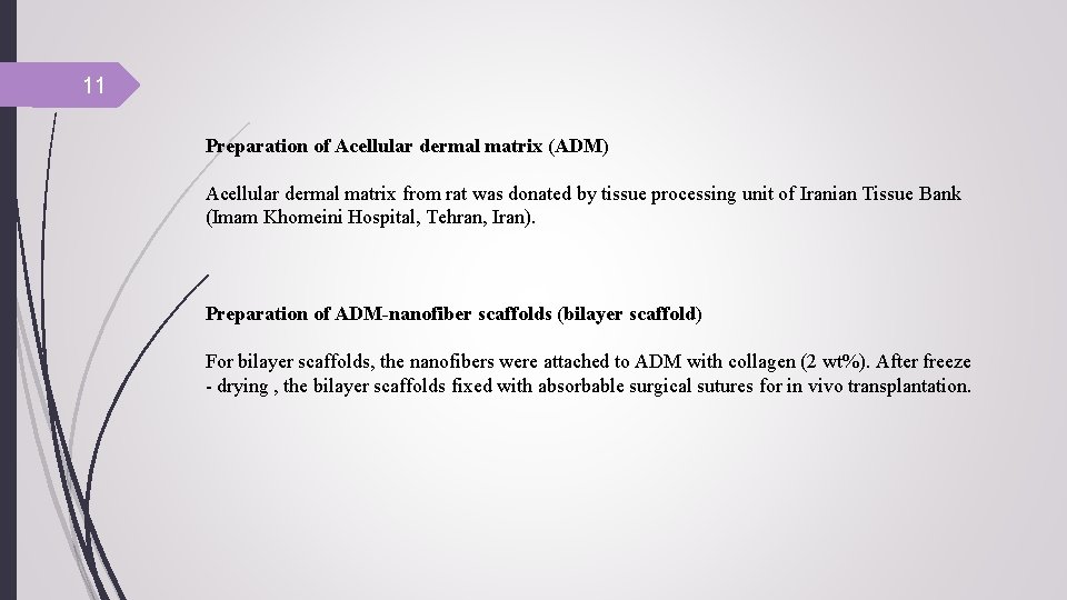 11 Preparation of Acellular dermal matrix (ADM) Acellular dermal matrix from rat was donated