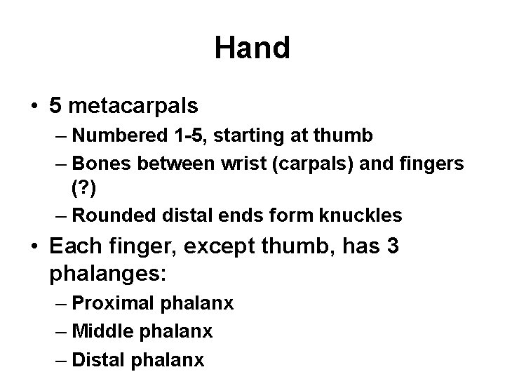 Hand • 5 metacarpals – Numbered 1 -5, starting at thumb – Bones between